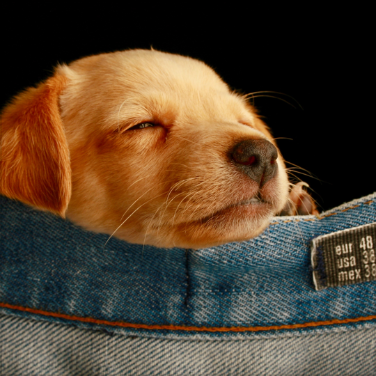 Img guide relax@3x
